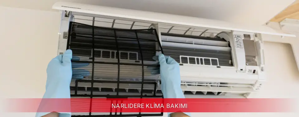 Narlıdere İlçemi Toshiba Klima Bakımı